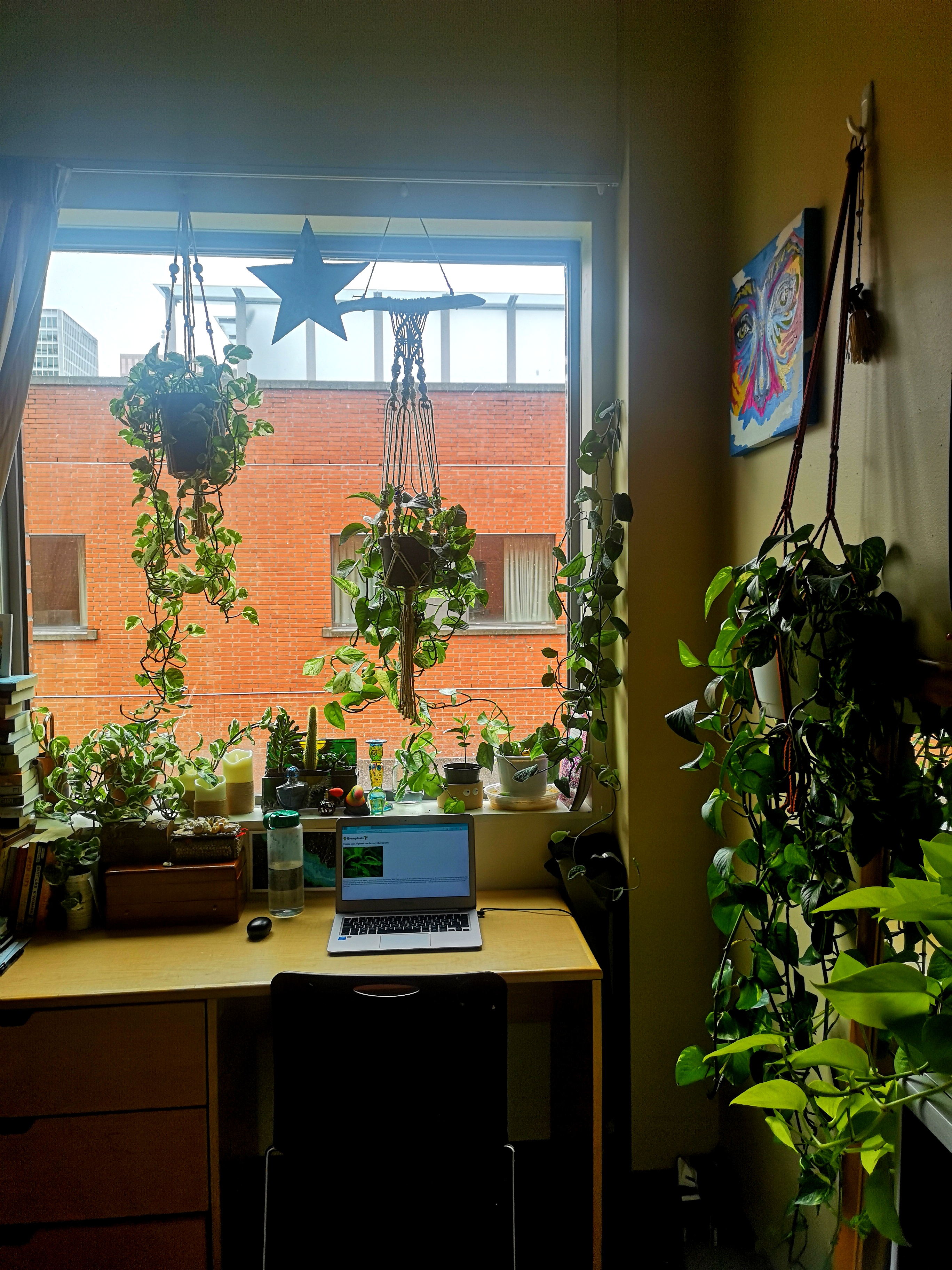 home office with plants