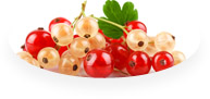 кed currants
