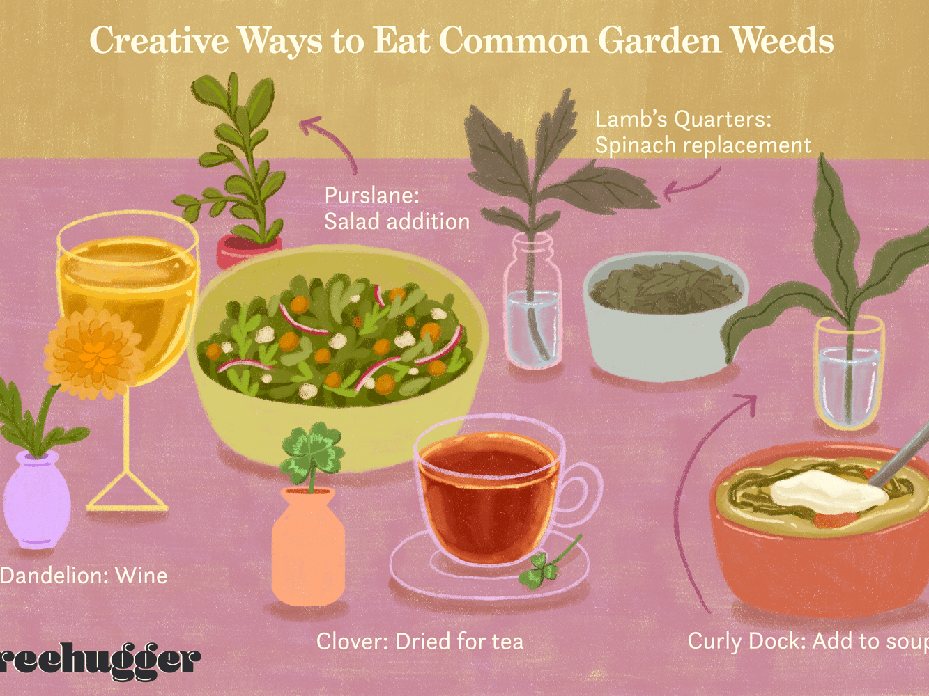 Edible Weeds