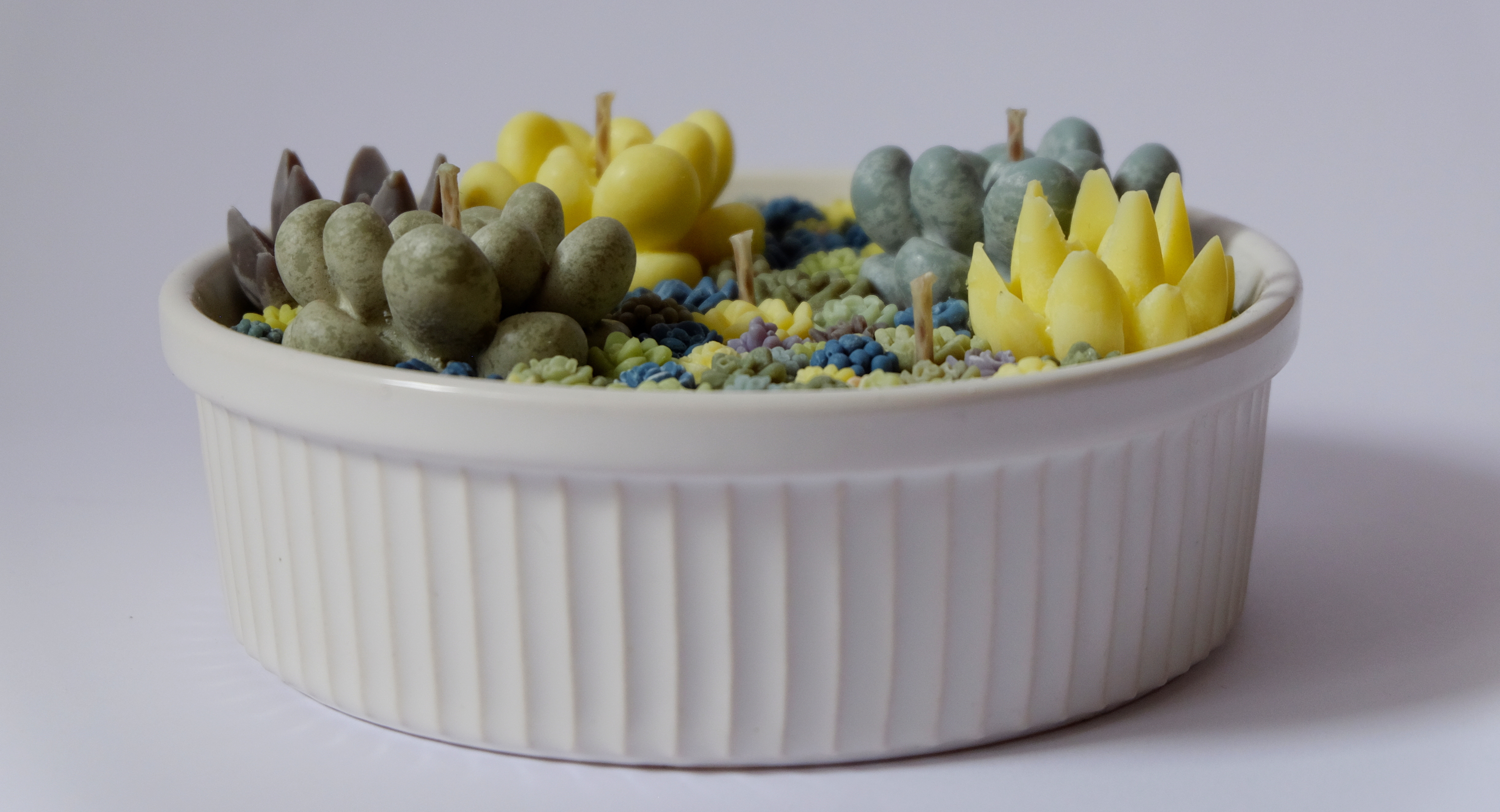 Succulent candle