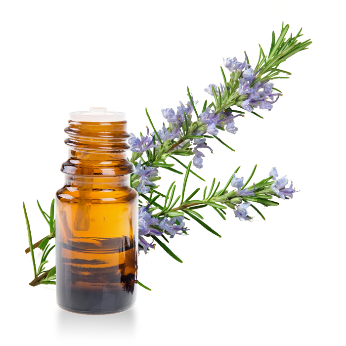 Rosemary Essential Oil