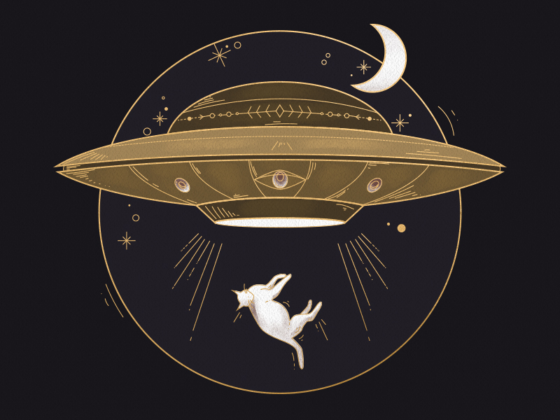 UFO abducting cat