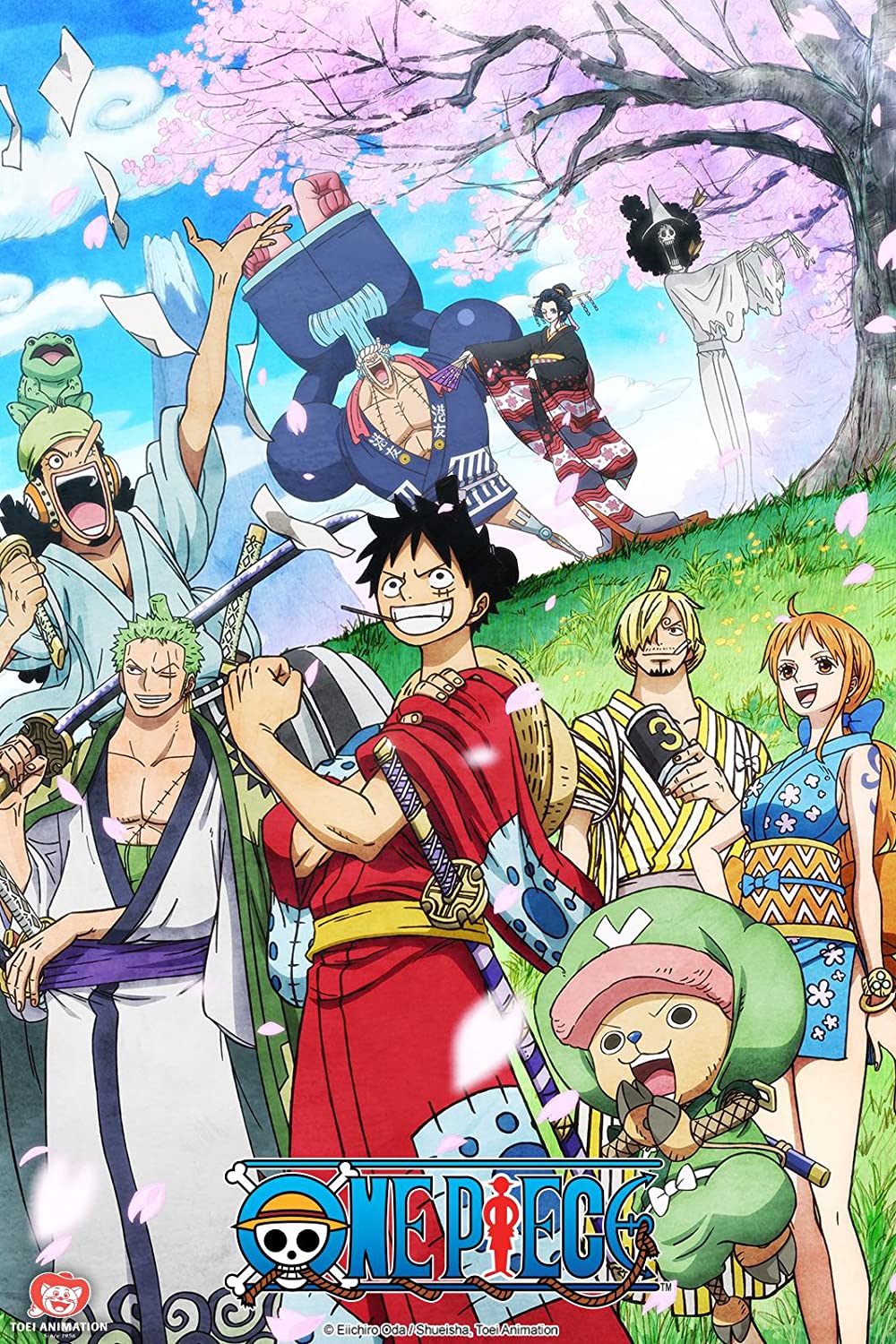 one piece poster