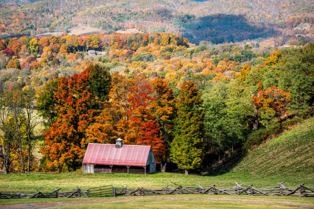 Barn in a field