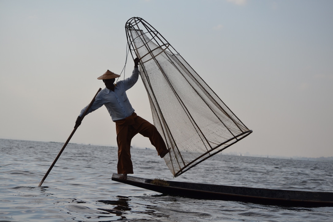 A local fisherman inspects his catch at Inle Lake, Myanmar