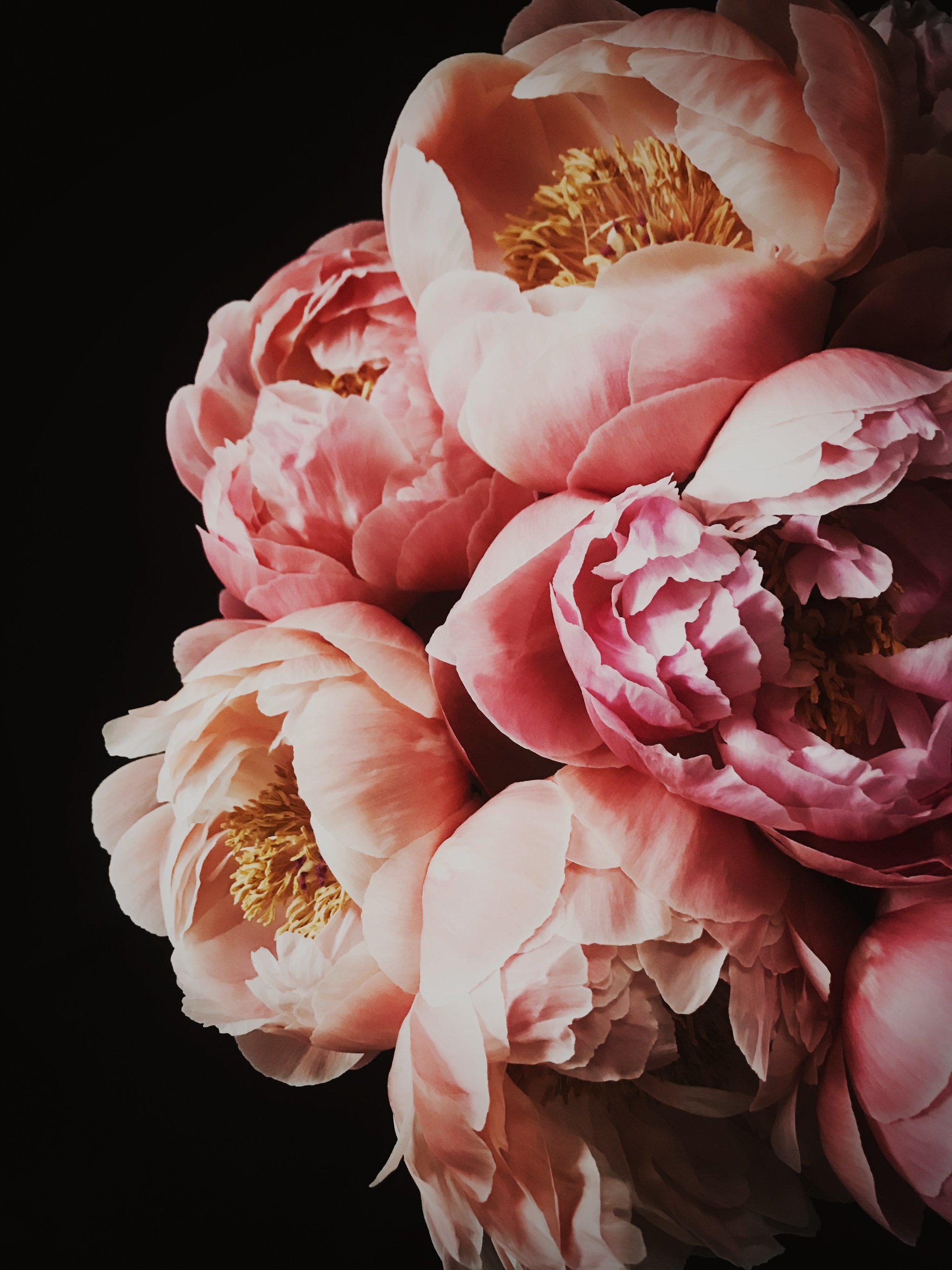 peony