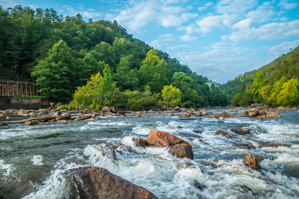 Ocoee River