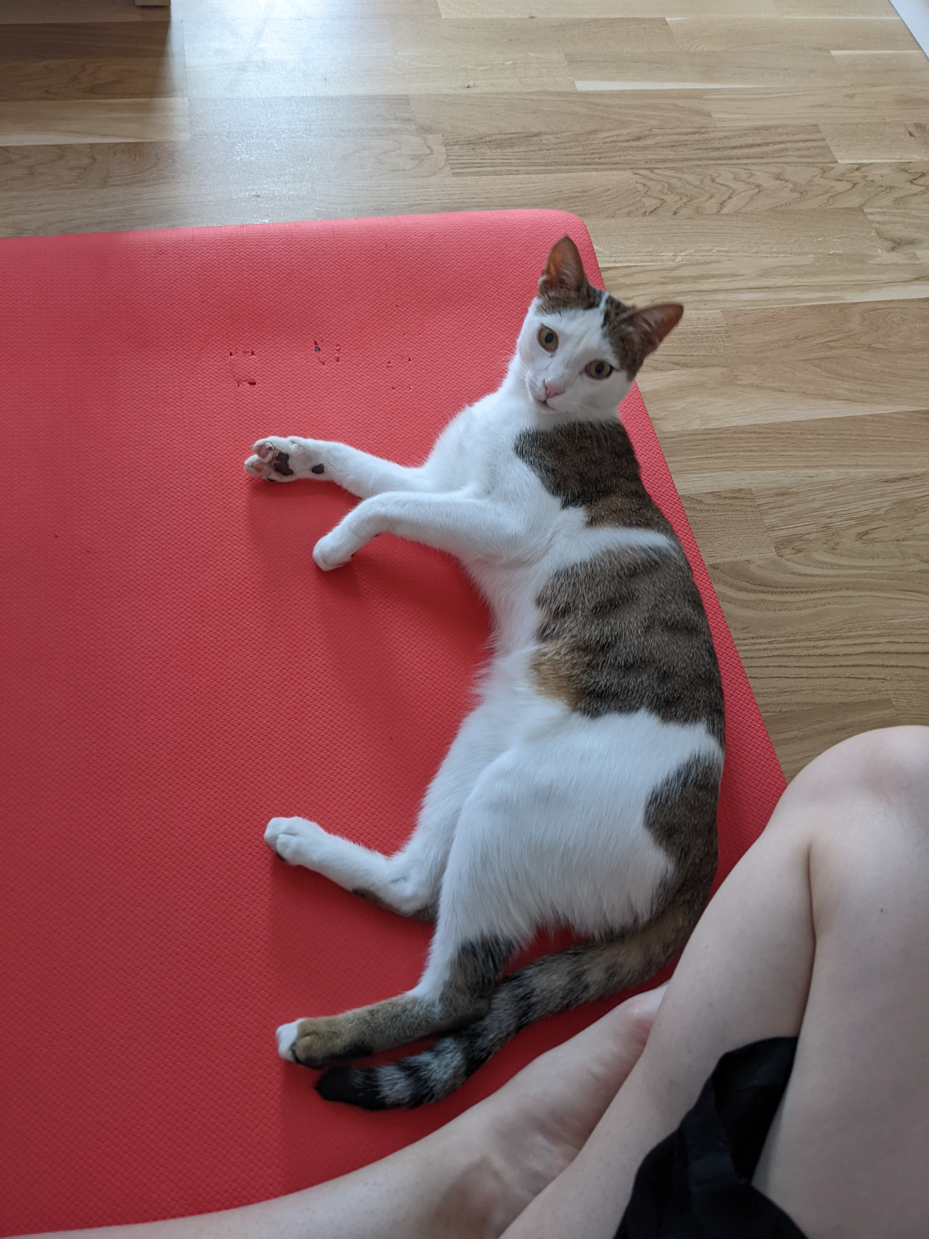 danik with yoga
        mat