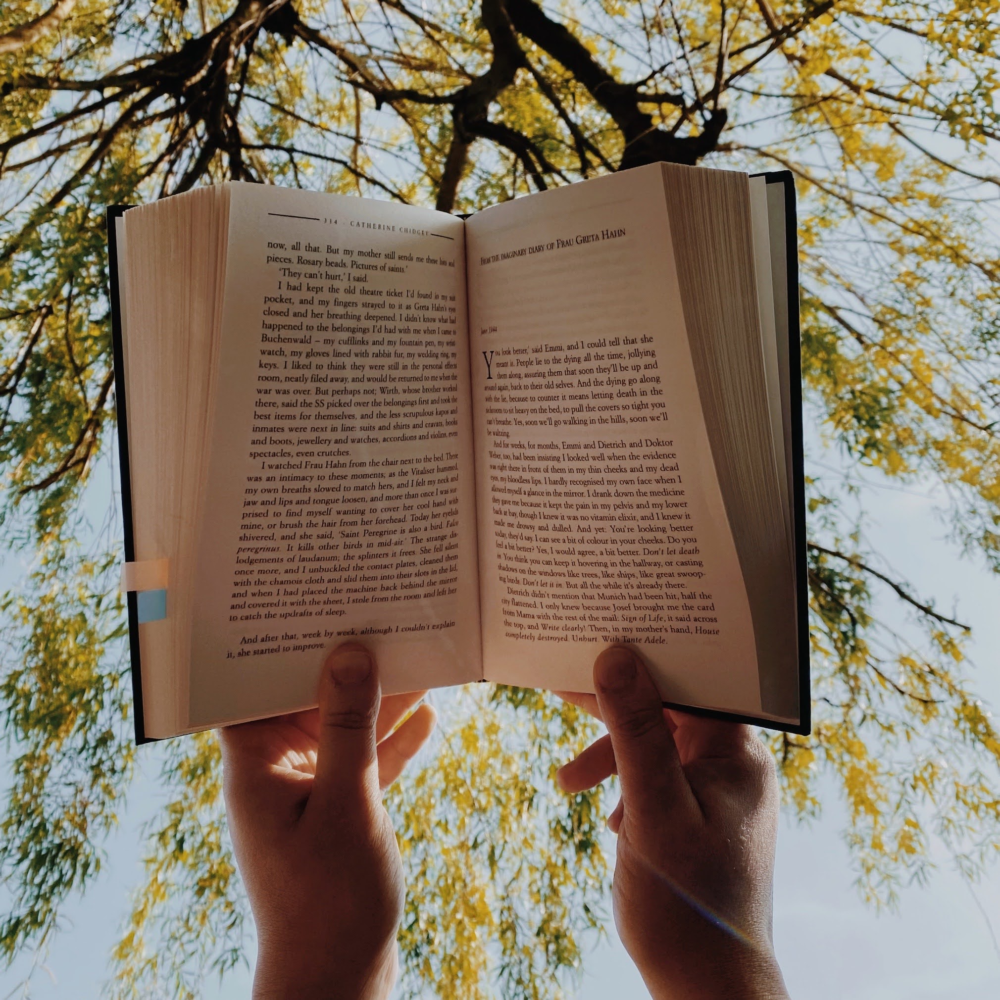 anOpenBookTowardsTheSky