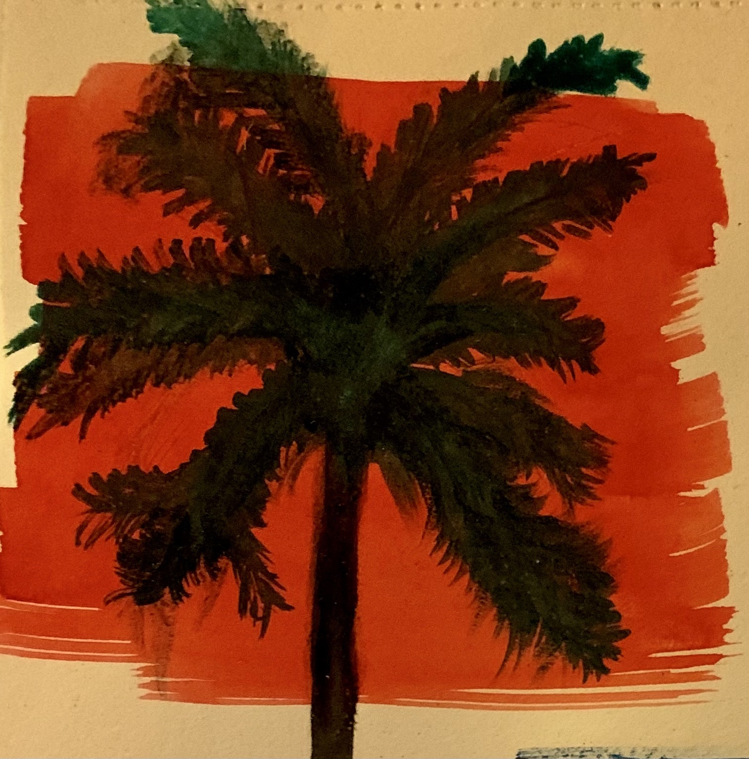 Palm Tree