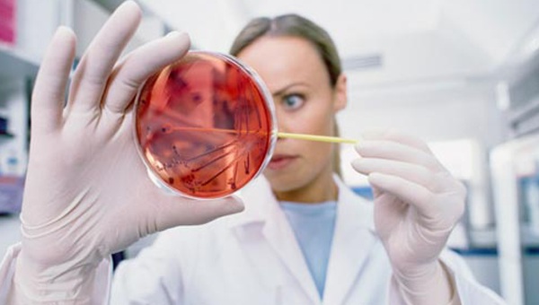 woman conducting research