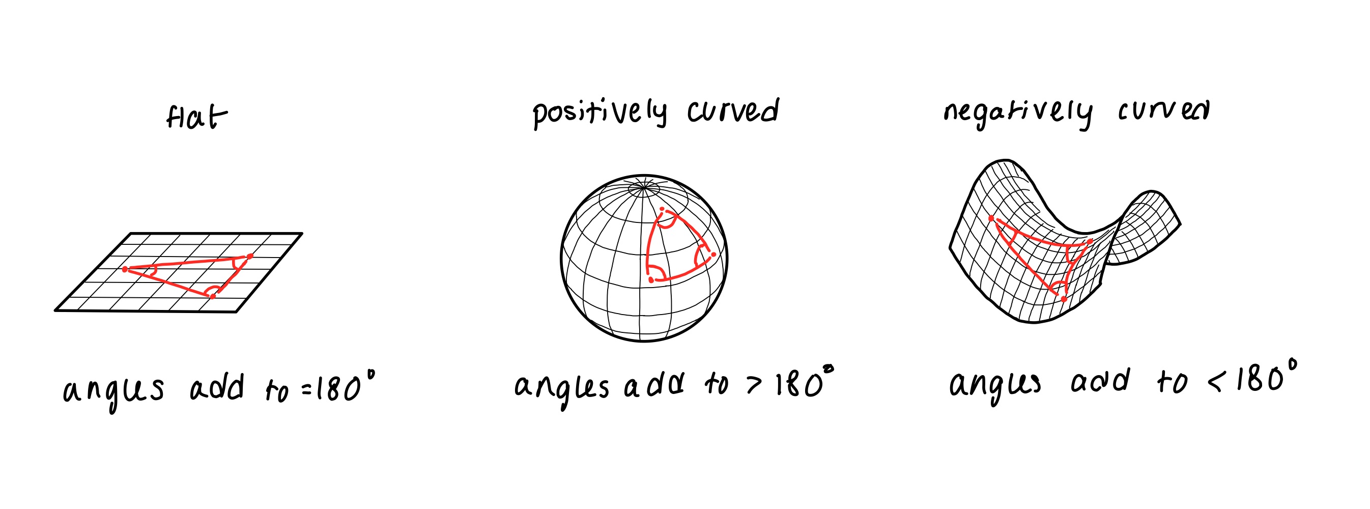 Curvature shown on 2D surfaces