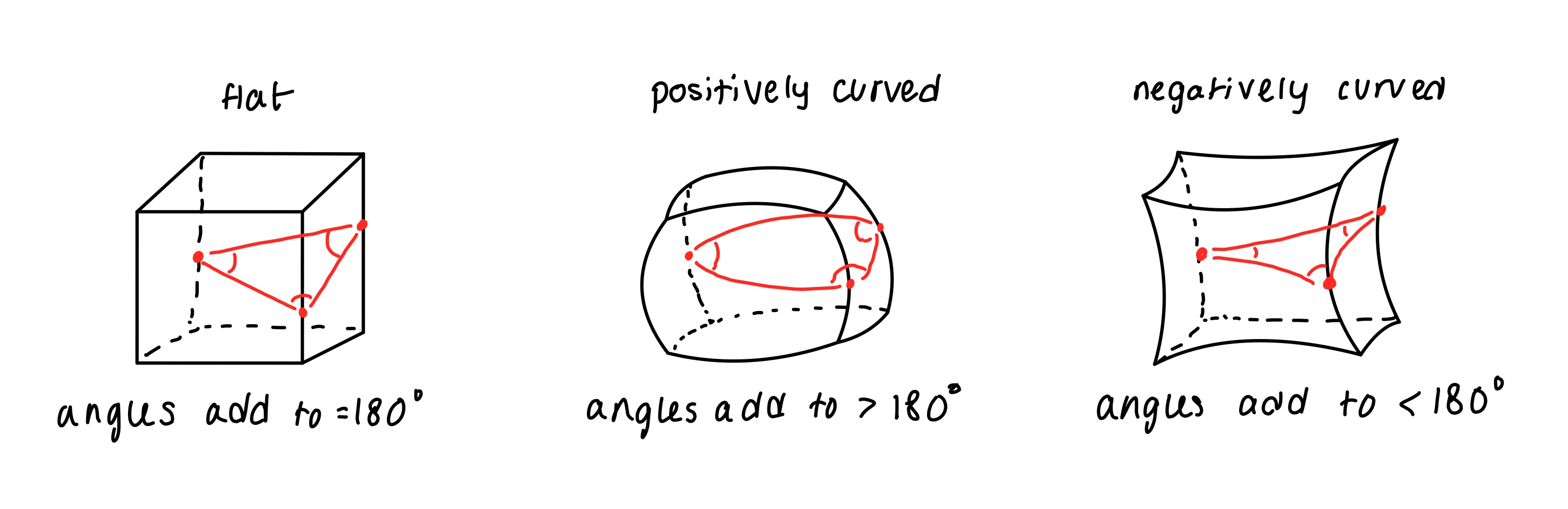 Curvature shown on 3D surfaces
