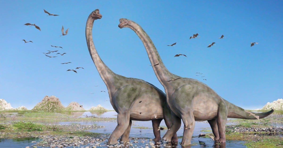 Dinosaurs - Brachiosaurus