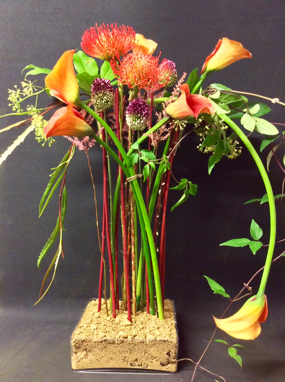 Floristical composition