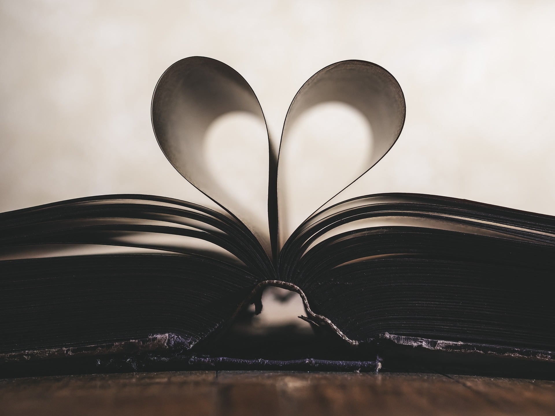 photo of book with pages folded into a heart