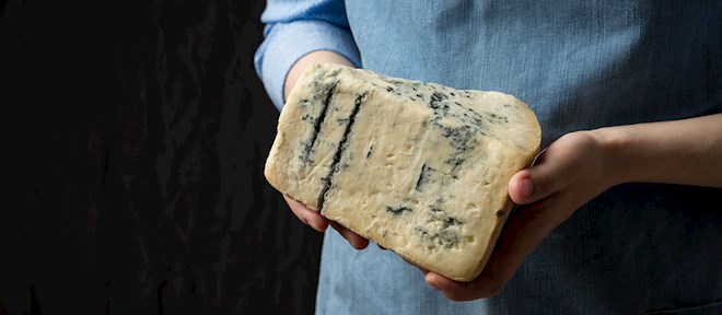 Gorgonzola