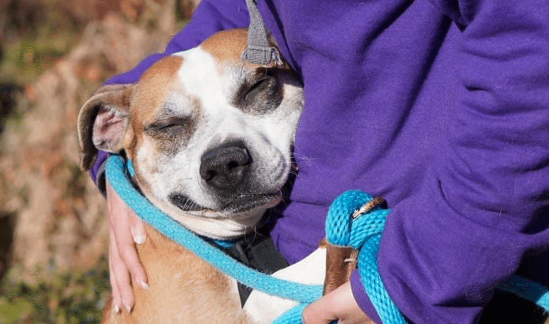 Furever Grateful Friend