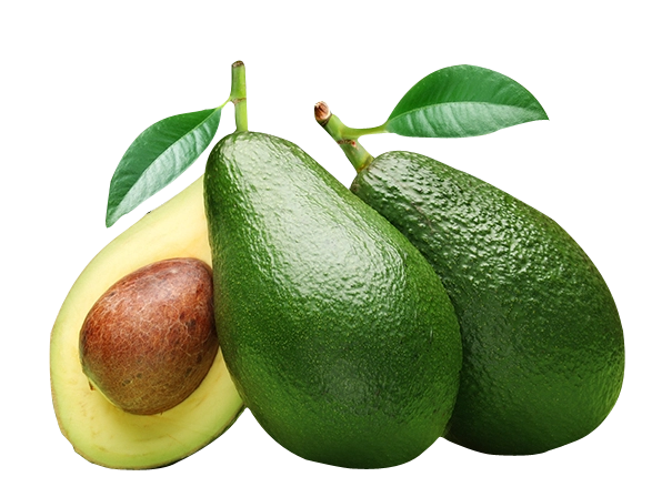 Avocado