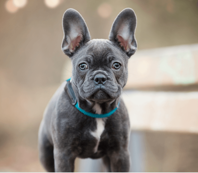 Photo has been not downloaded