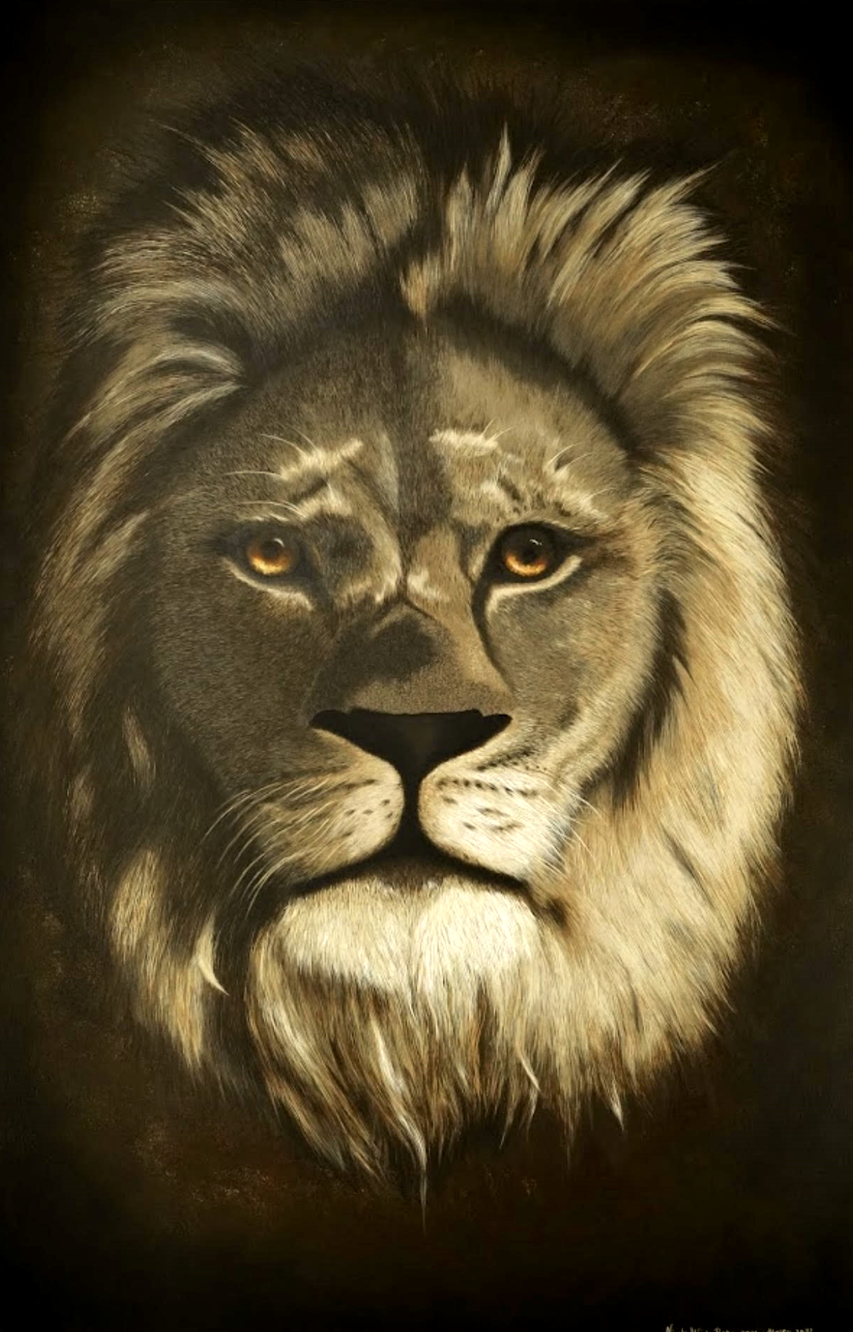 Lion portret