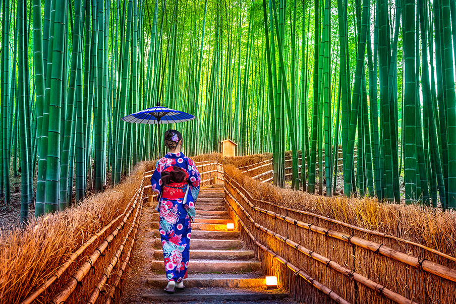 japanese woman bamboo forest