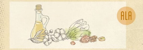 Picture of plant-based omega-3 fatty acids sources