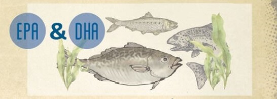 Picture of marin omega-3 fatty acids sources