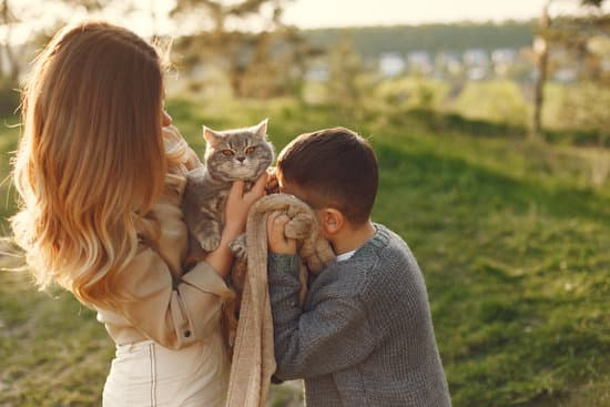 Family cat