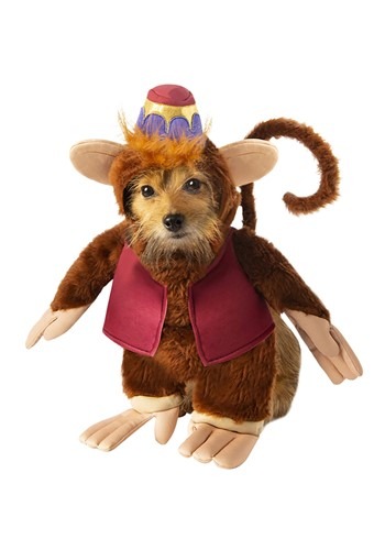 Abu costume for a dog