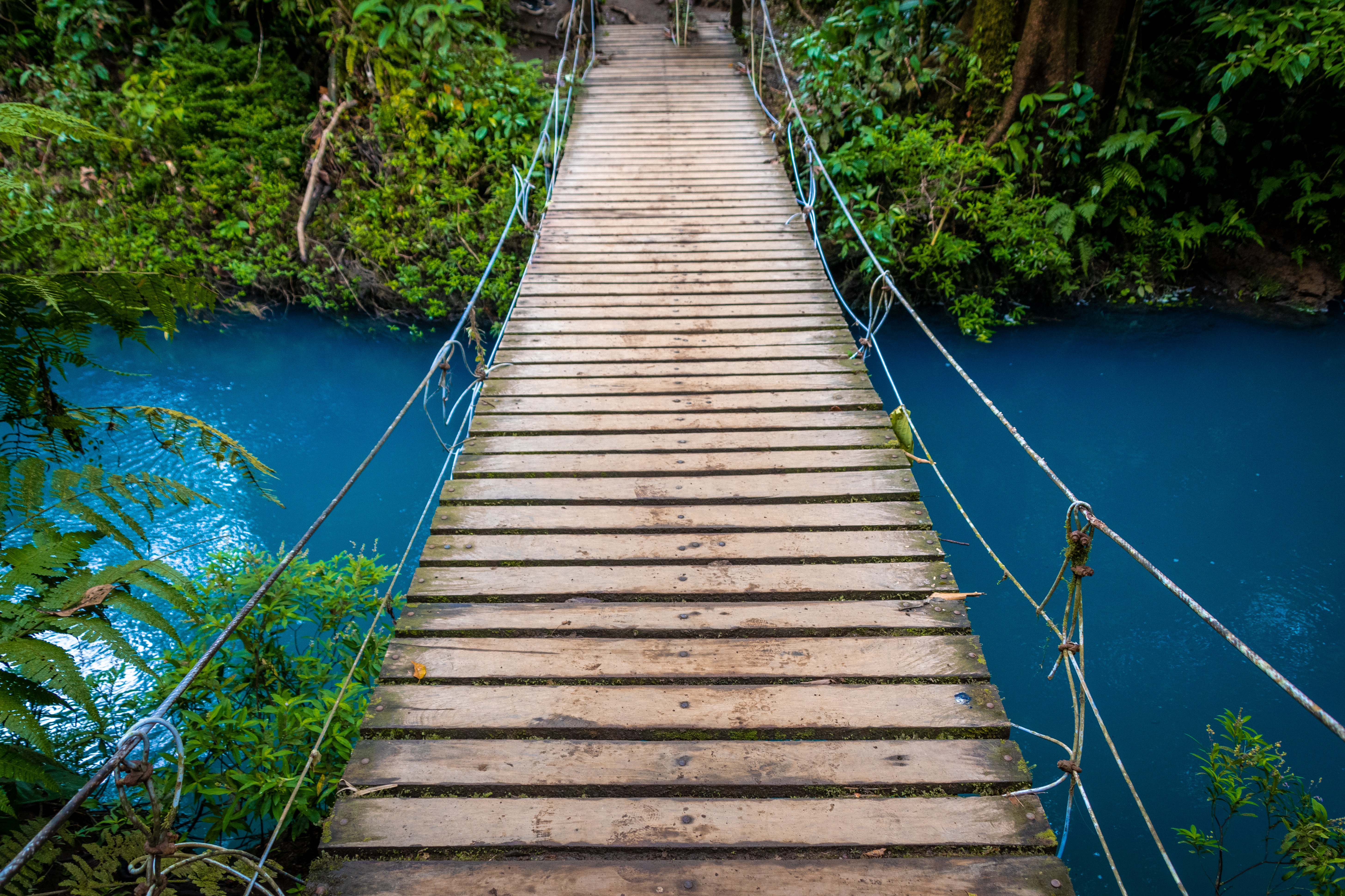 wooden bridge over river