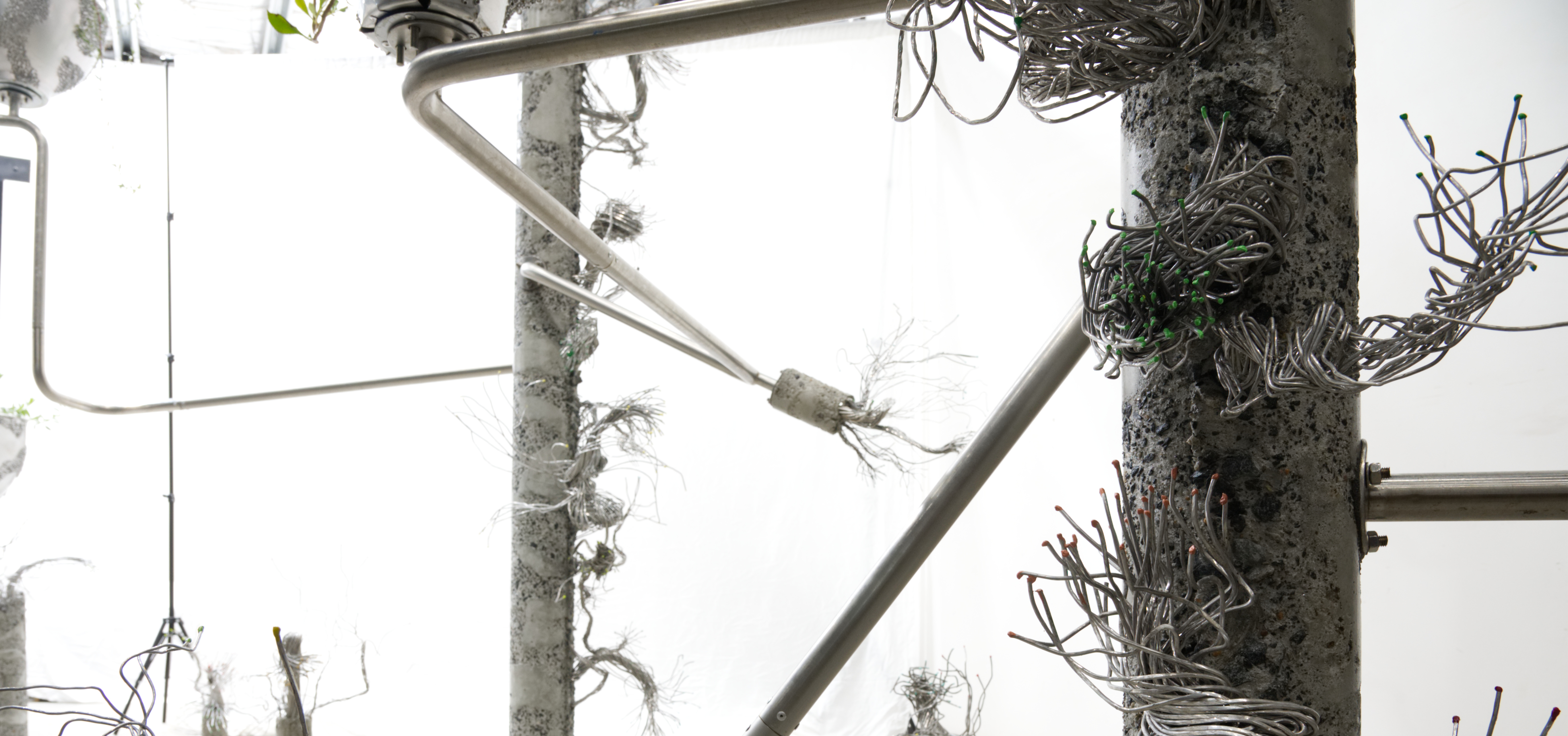 Earth is thought detail