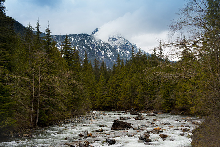 Golden Ears