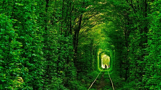 tunel of love 