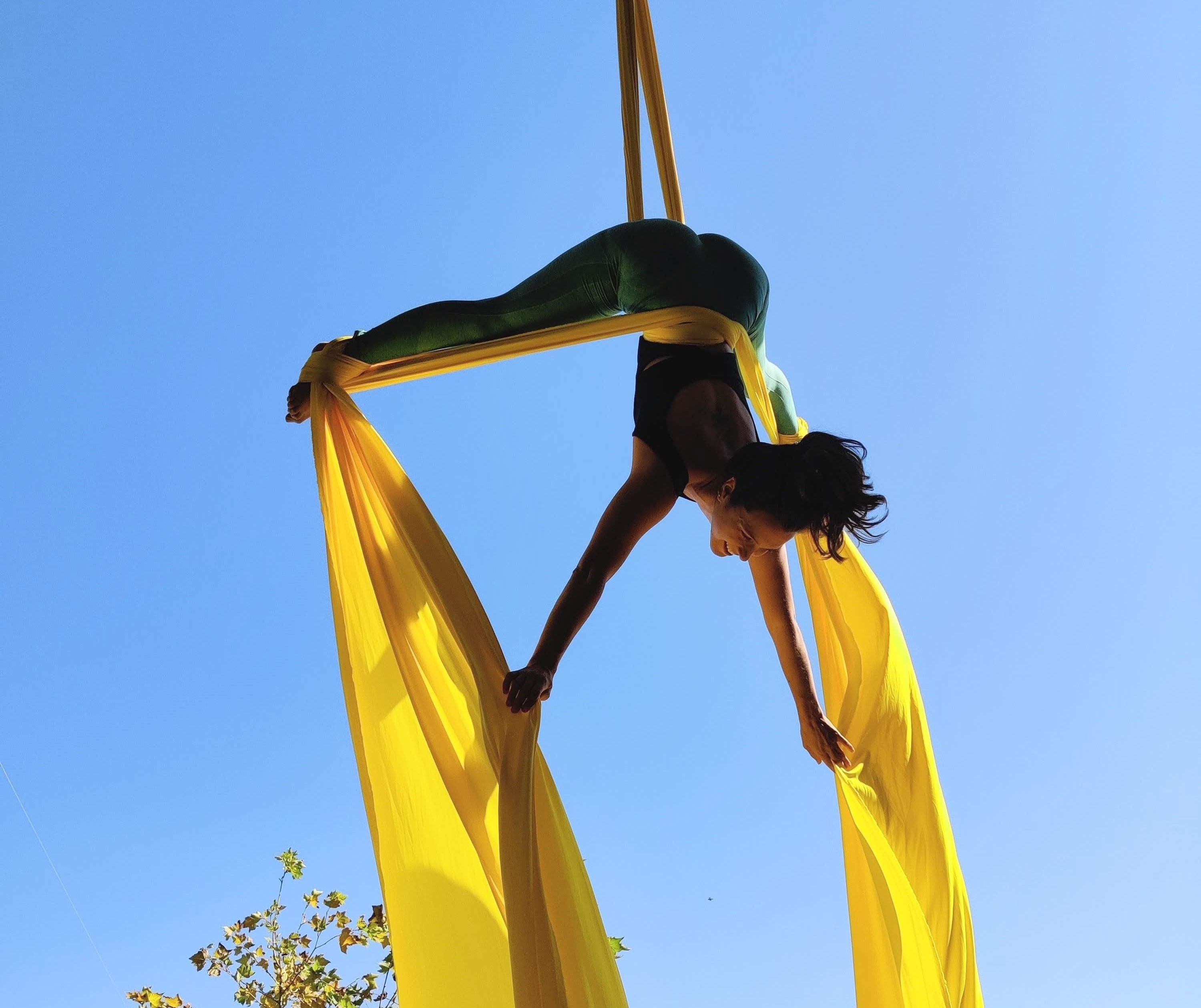 aerialist