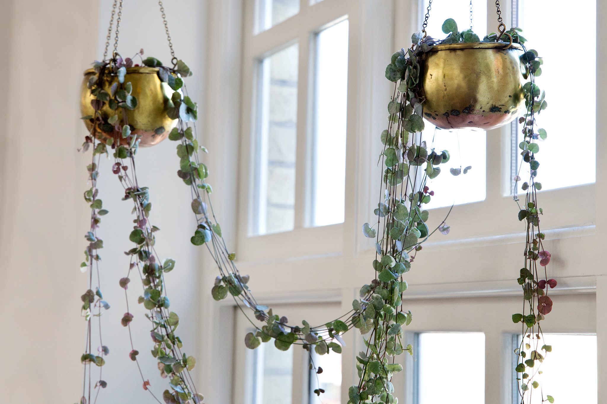 Image of a String of Hearts