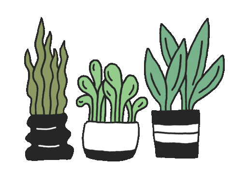 Plant Gif