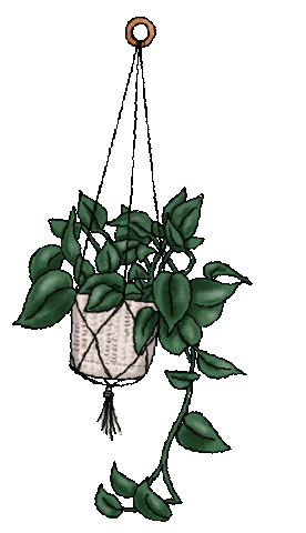 Hanging Plant Gif