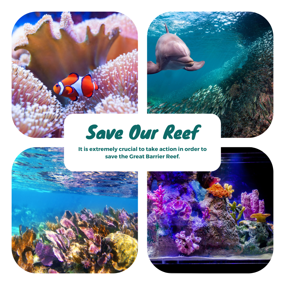 great barrier reef