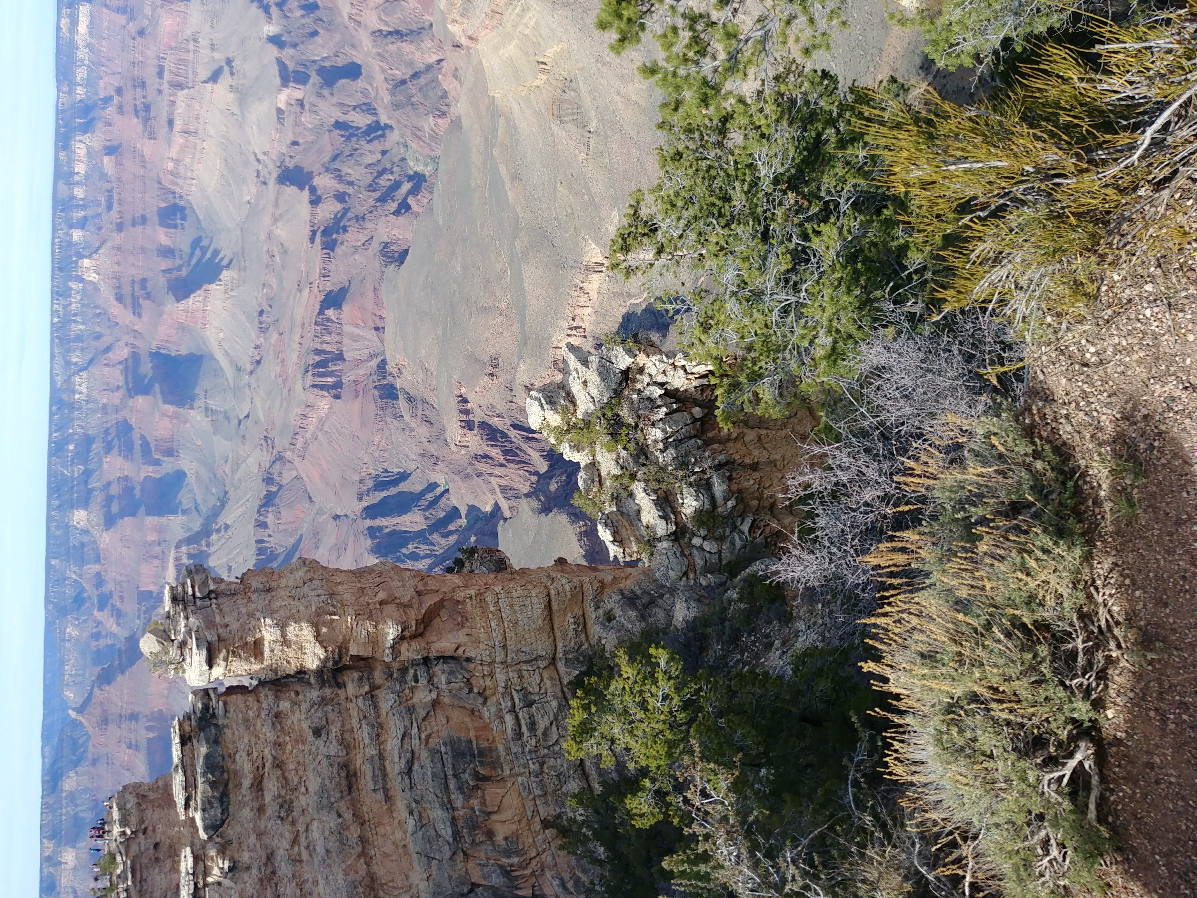 Image of the Grand Canyon
