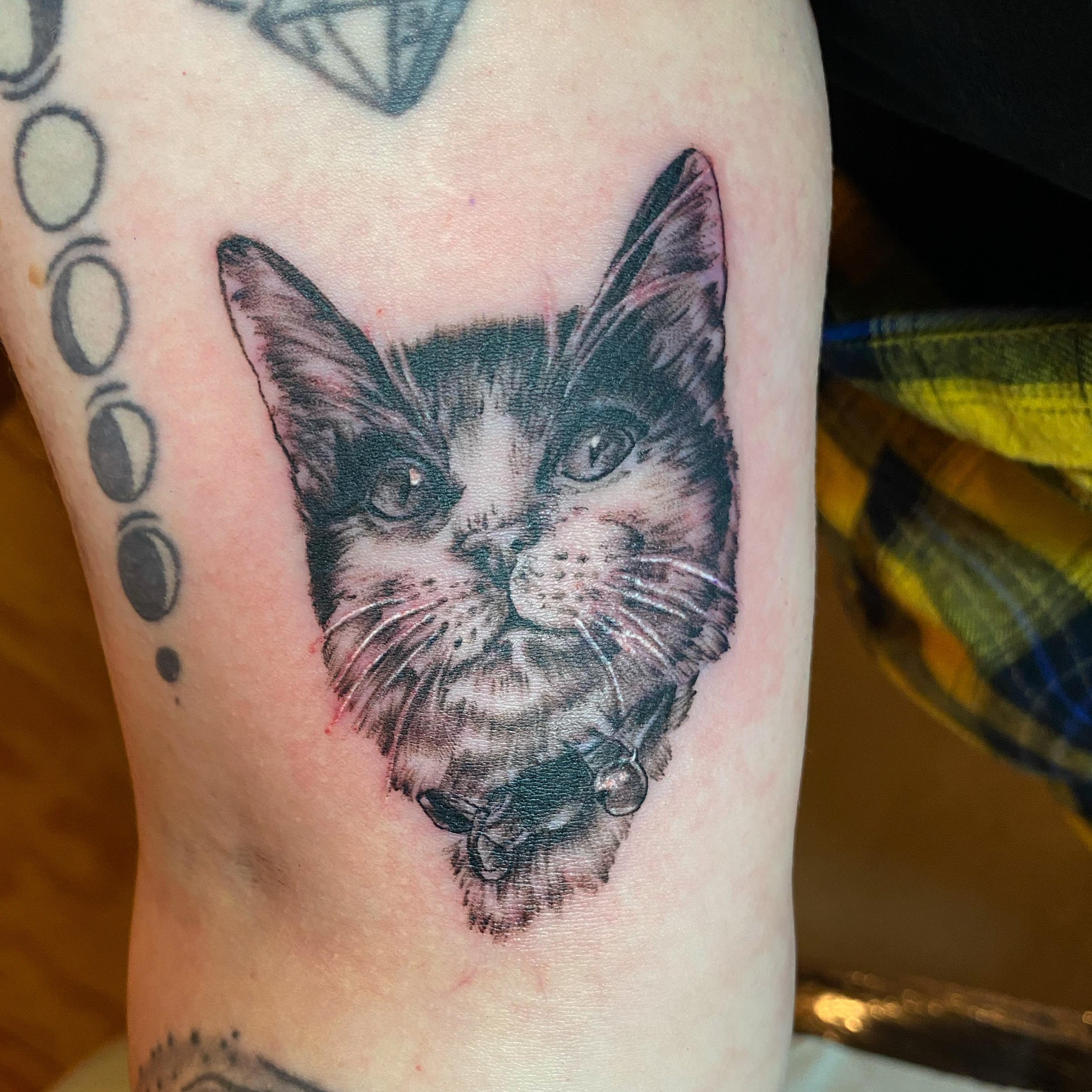 A cat tattoo