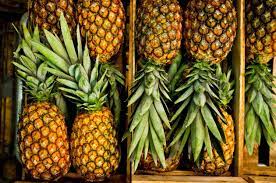 Picture of pineapple