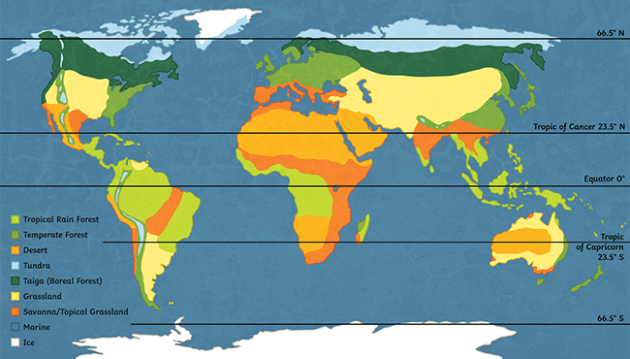 Map of world biomes