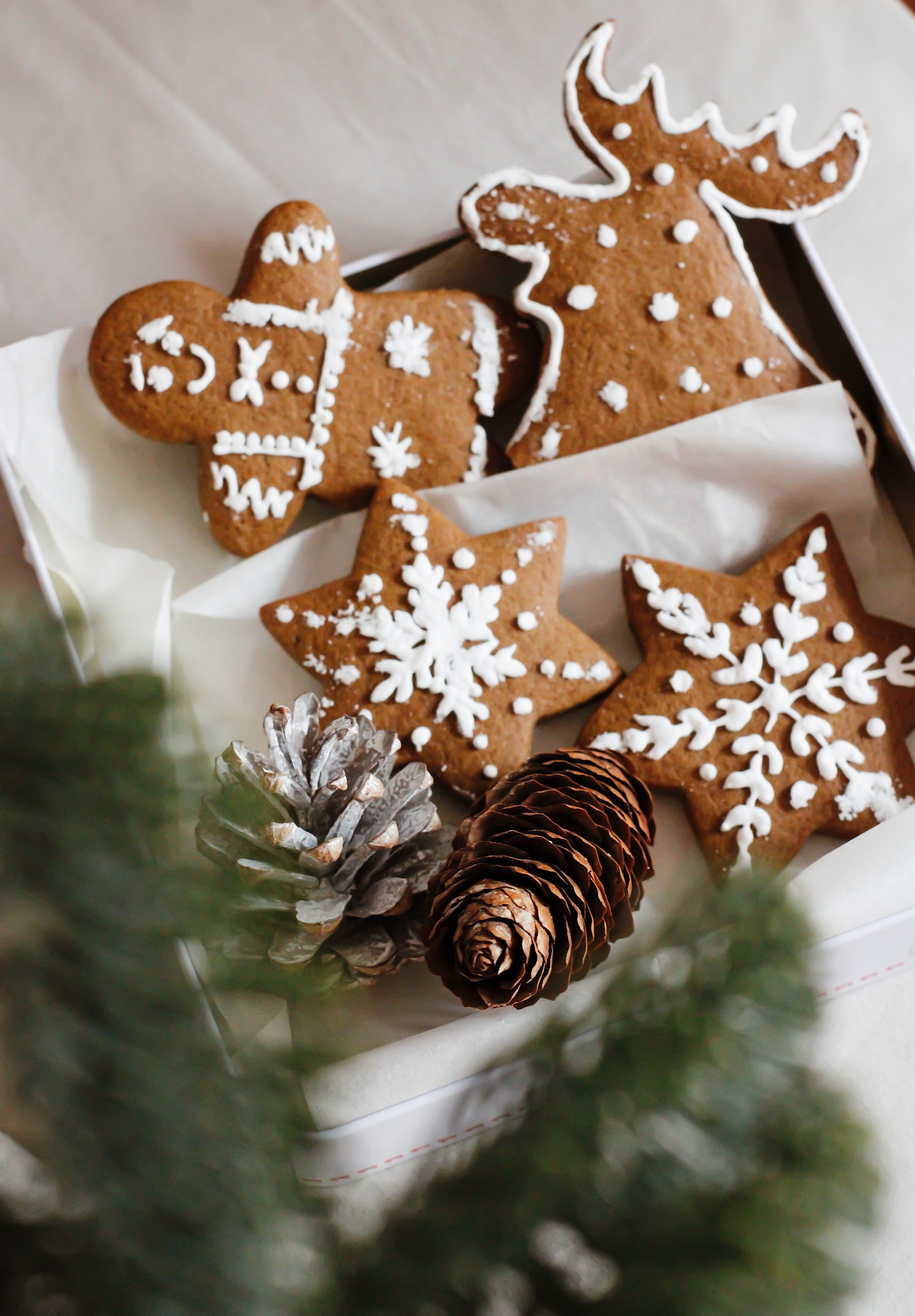  Gingerbread cookies
