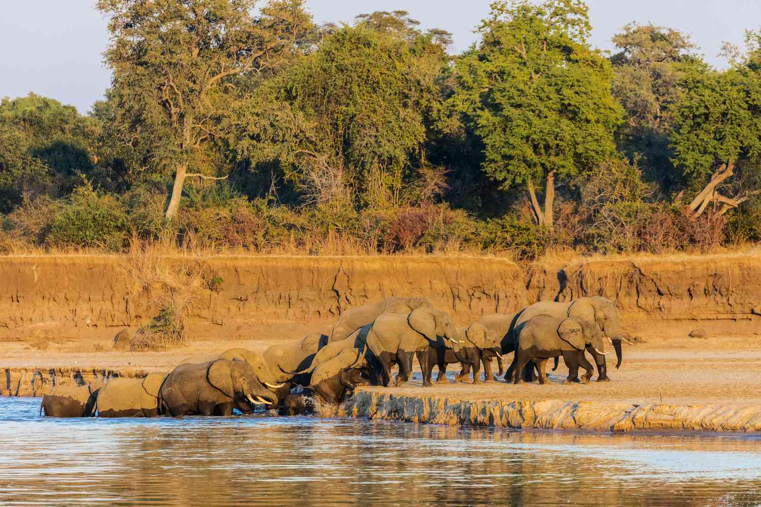 South Luangwa National Park, Zambia