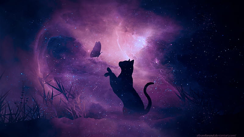 A Cat Nebula