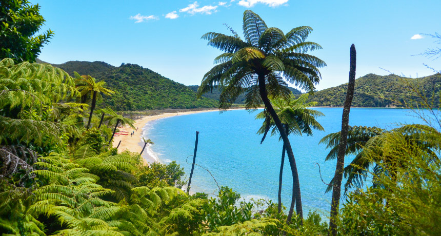 Tropical beach in New Zeland
