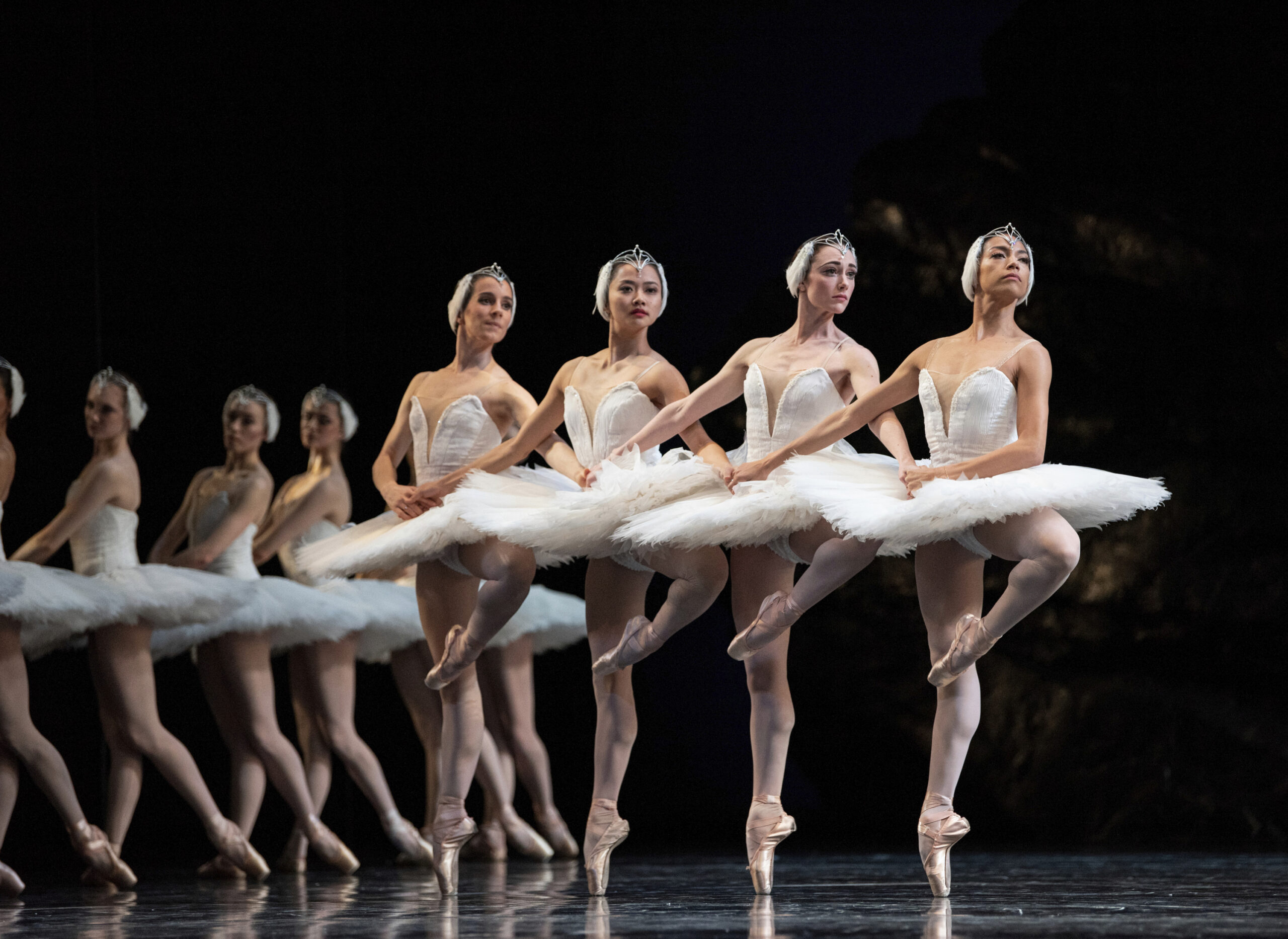 Swan Lake, four swans