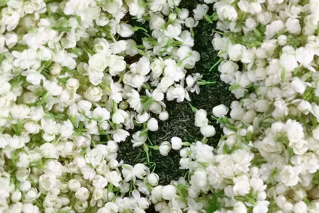 Jasmine Flowers