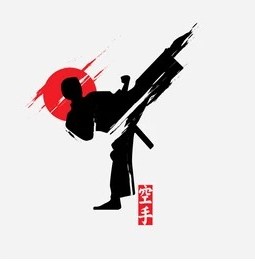 karate icon